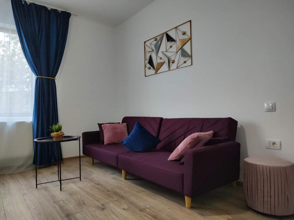 Dania&Petru Residence Tîrgu Ocna Екстериор снимка