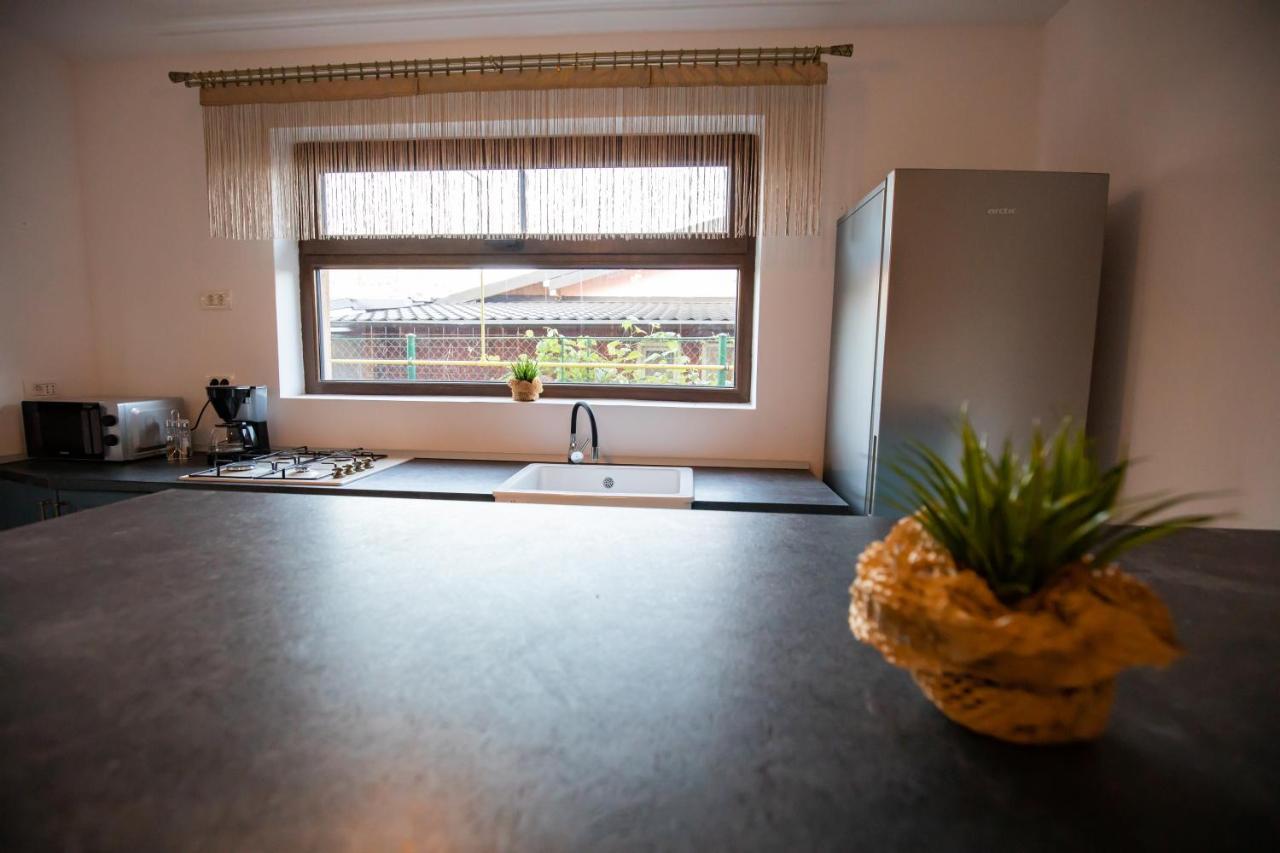 Dania&Petru Residence Tîrgu Ocna Екстериор снимка